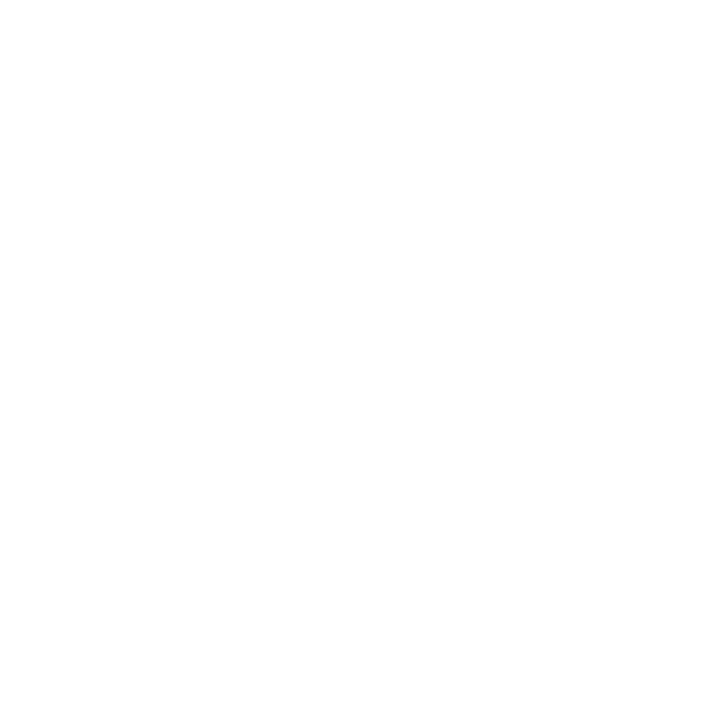 icono (11)